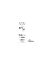 19215-thickbox_default.webp